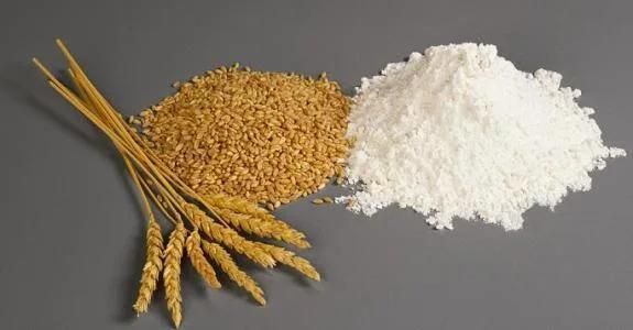 Coarse Cereals Flour Milling Line Project