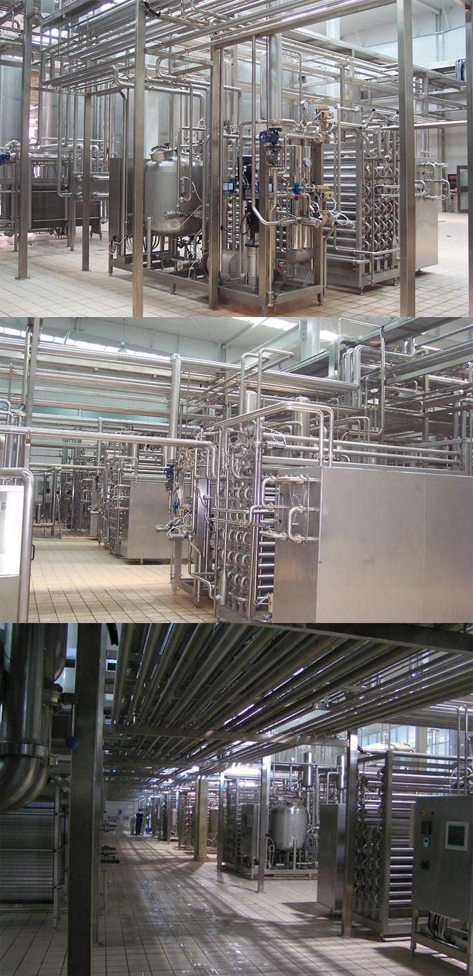 Completed Uht Processing Line/ Dairy Production Plant