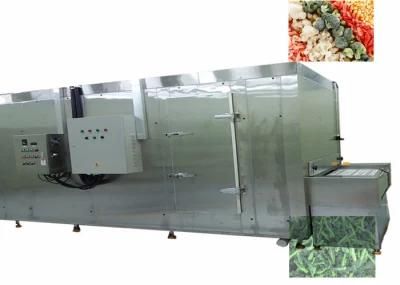High Quality Vegetable Fruit Quick Frozen Production Line