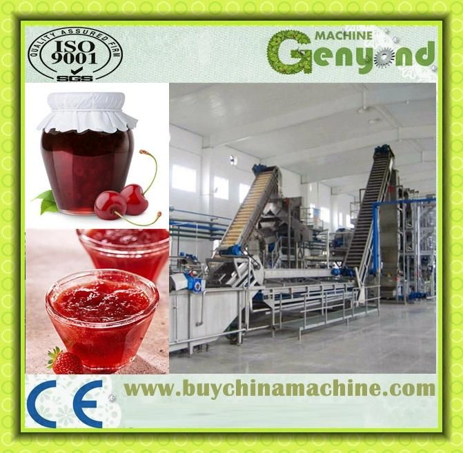 Fruit Jam Production Machines/Equipment