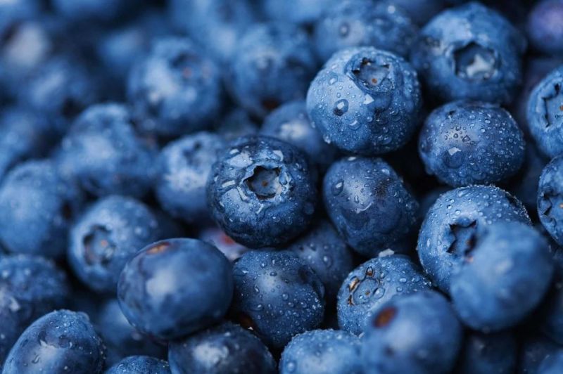 Automatic Fruits Cleaning Washer Blueberry Air Bubble Washing Machine
