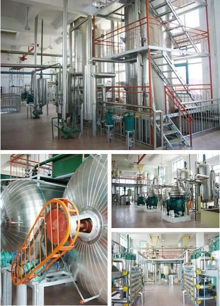 Most Advanced Rice Oil Solvent Extraction Refining and Defatting Line