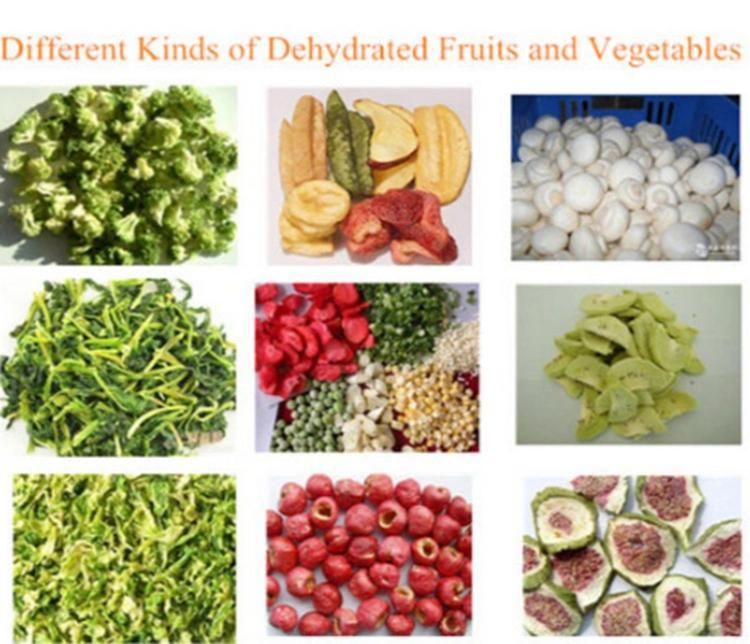 New Technical Industrial Heat Pump Fruit Dryer Machinery