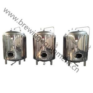 500L Beer Brewery Equipment Bbt Storage Tank