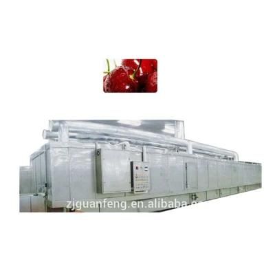 1000kg Industrial Freezer for Sea Bream IQF Tunnel Freezer