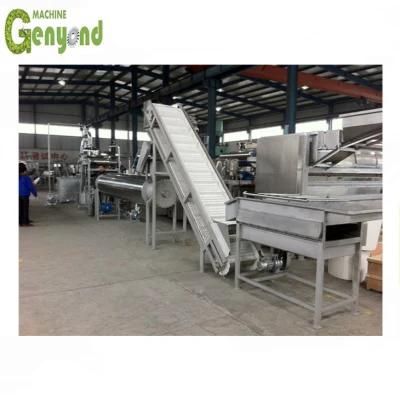 Shanghai Small Capacity Mango Juice Processing Plant