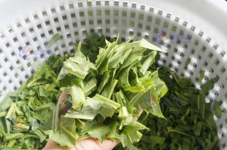 Frequency and Time Settings Vegetable Spinner Machine Dewater Dryer Centrifugal Fruit Food Salad Dehydrator