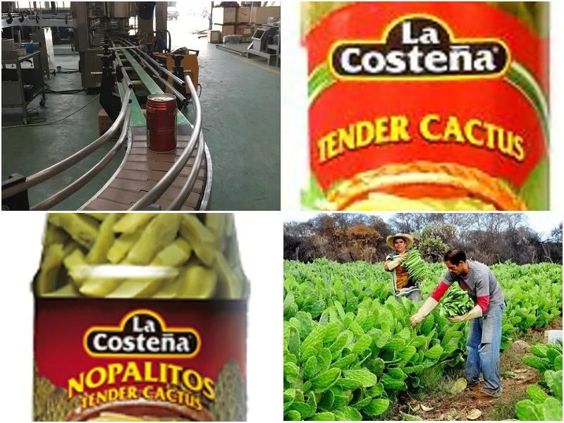 Nopal Processing Line / Cactus Production Plant