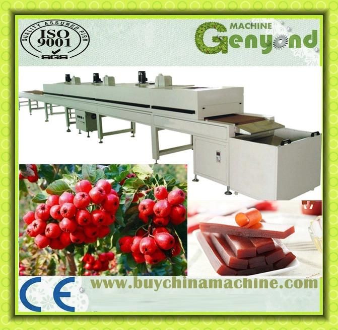 Fruit Leather/Fruit Bar Making Machines