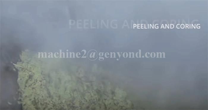 Complete Orange Powder Production Line