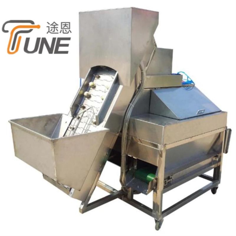 Factory Supplier Onion Skin Peeling Machine / Automatic Onion Peeler