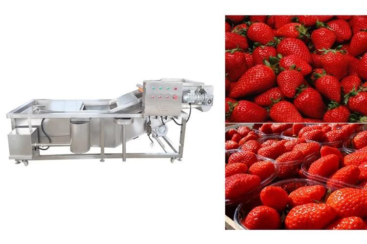 Washing Machinery for Fruit Automatic Strawberry Cleaning Machine