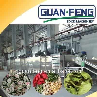 24m2 High Performance Automatic Belt Dryer for Dehydration Food