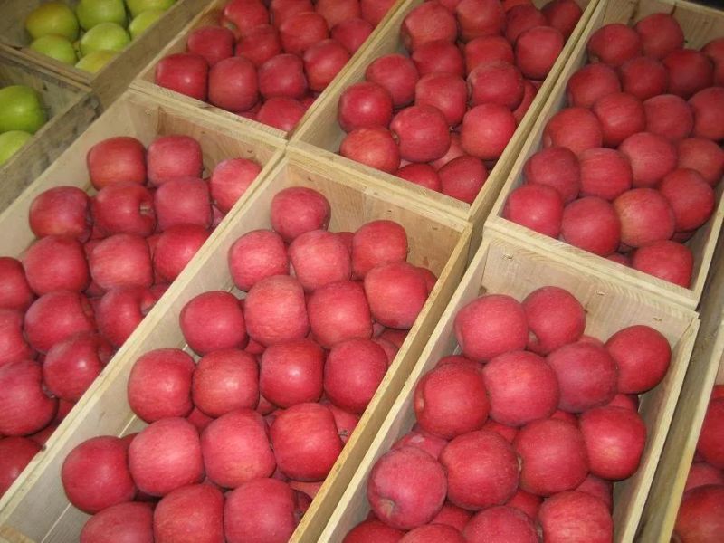 Vegetable Fruits Washer Dryer Apple Washing Drying Machine