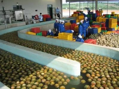 5t/H Pineapple Juice Production Line