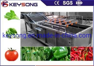 Air Bubble Vegetable Washing Machinery