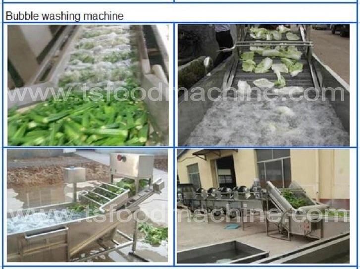Green Bean Washing Cutting Drying Processing Machine