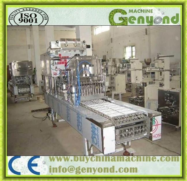 Complete Fruit Jelly Production Line