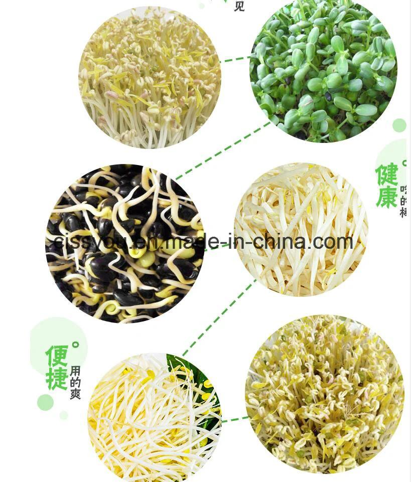 Bean Sprout Sprouting Sprouter Growing Planting Machine (WSYJ)