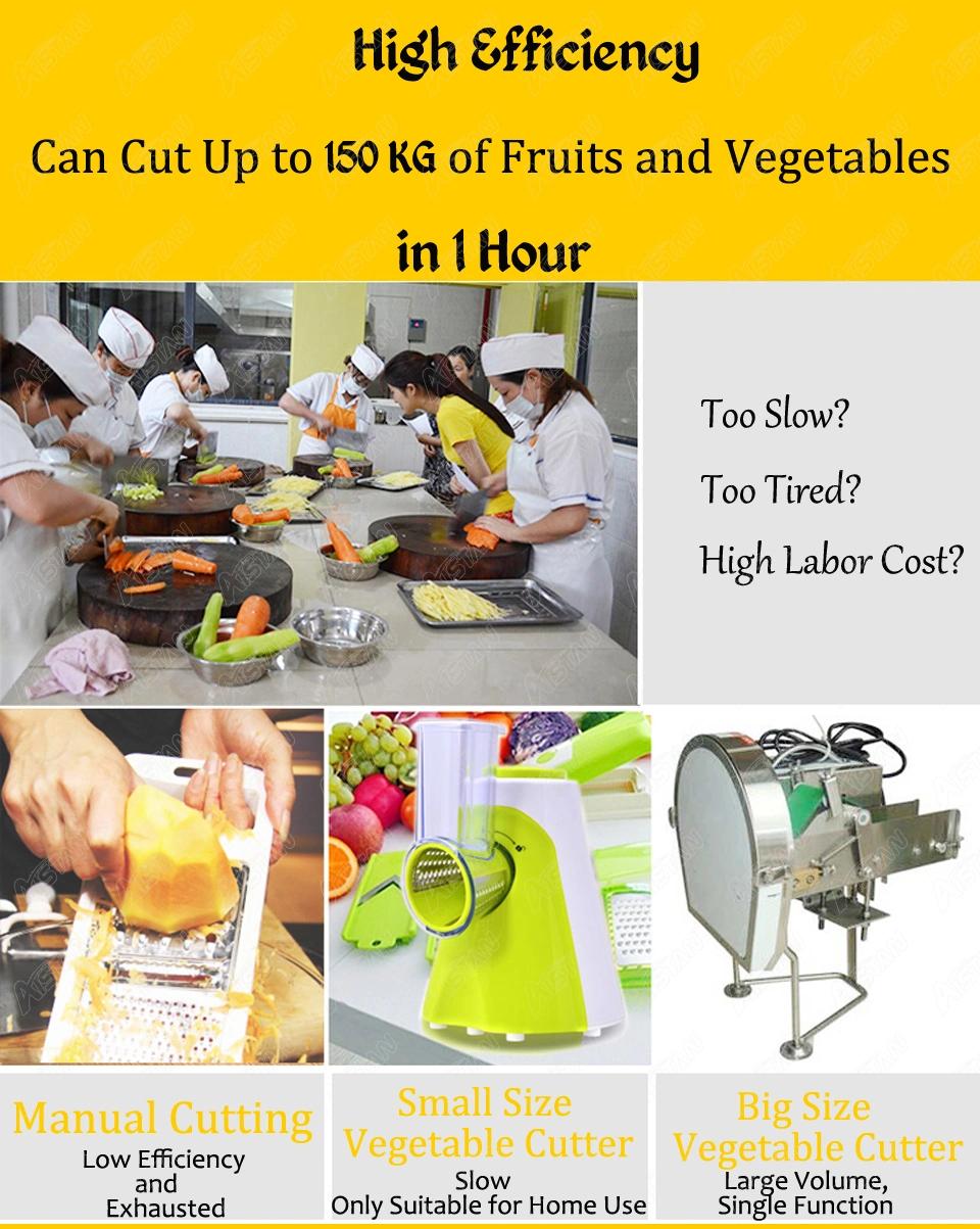 Hlc300 Kitchen Vegetable Cutter Machine Multifunctional Fruit Vegetable Slicer Cutter Commercial French Fry Cutter S. Steel