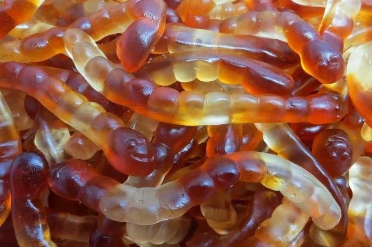 Starch Mogul Plant Gummy Candy Maker