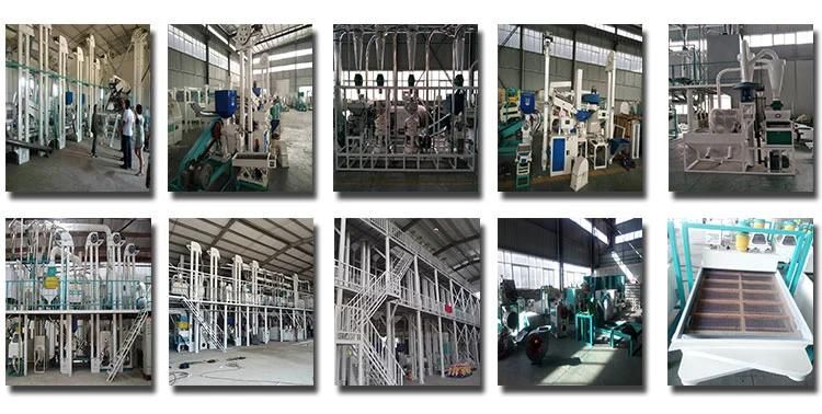 Complete Set Flour Mill Equipment/Production Line for Wheat and Corn Maize