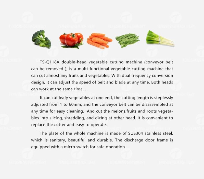 High Quality Leafy Vegetable Carrot Onion Potato Chip Electric Cutter Strip Cutting Machine Commercial Fruit Chopper Slicer Food Processor (TS-Q118A)