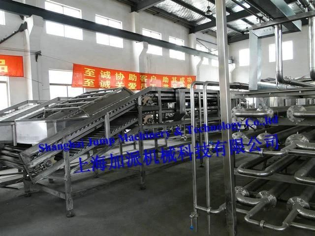 Mango Product Processing Line