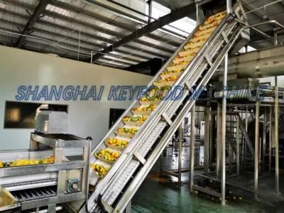 Tomato Fruit Juice/Tea/Paste/Sauce/Ketchup Processing Concentrated Filling Machine Making ...