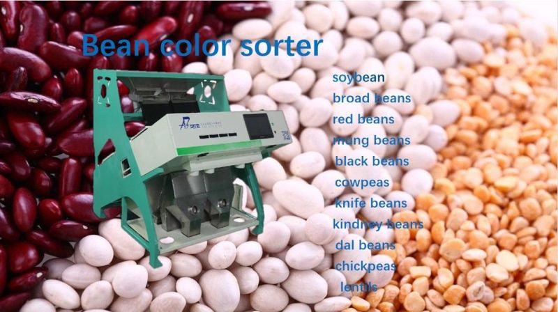 2 Chutes Bean Processing Machine Bean Color Sorter