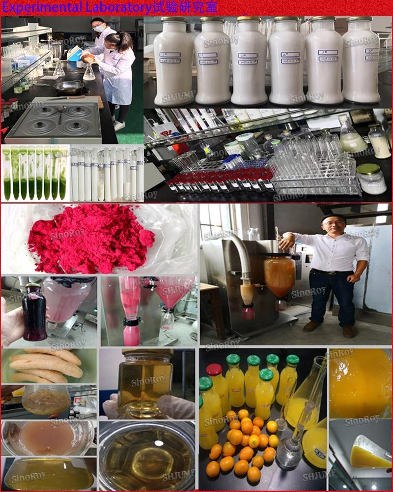 Lycium Barbarum Juice Production Line