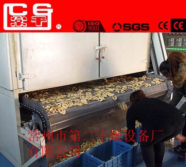 Automatic Heat Pump Industry Seafood Fruit Drying Machine Vegetable Dehydrator Mesh Belt Apple Banana Mango Fish Cucumber Hot Air Dryer