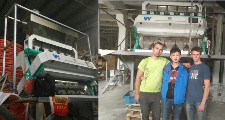 5 Chutes 320 Channels Thailand Rice Color Sorter Machine From Wenyao China