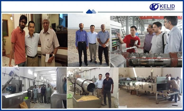 Made in China Hot Sale Soya Nuggets Procecssing Machine