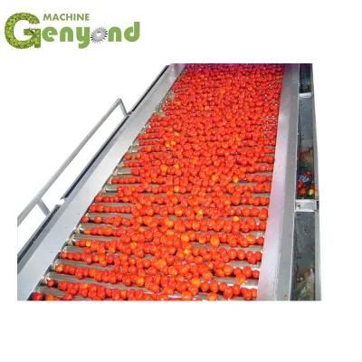 Automatic Tomato Sauce Making Machine