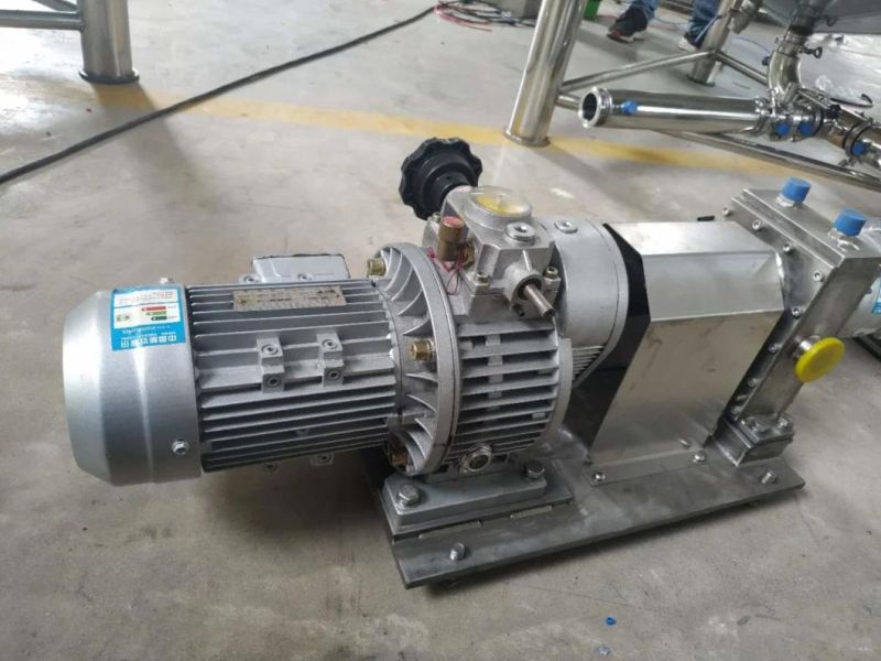 China Factory High Productivity Chocolate Delivering Pump Model 25