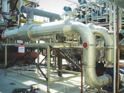 Fruit Preheater Enzyme Deactivating Machine Juice Tubular Heating Machine