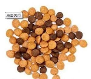 Multifunction Stainless Steel Twin Screw Extruder Pet Food Machine