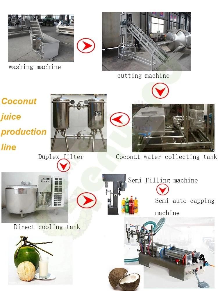 Coconut Peeling Machine for Coconut Milk Processing Machine