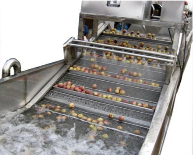 Food Processing Machine Leafy Vegetable Washing Machinery