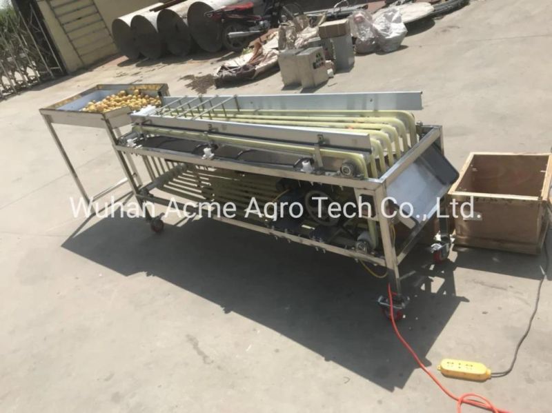 Automatic Dates Sorting Machine