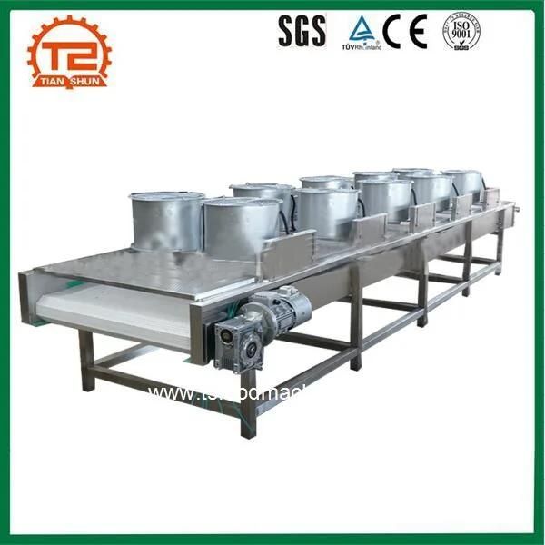 Industrial Drying Machine Conveyor Mesh Belt Dryer for Potato Chips