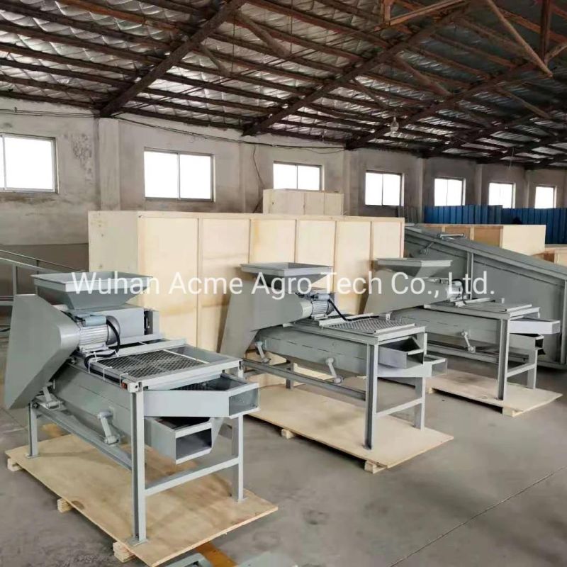 Automatic Walnut and Almond Shelling Cracking Machine