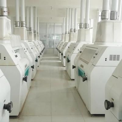 100tons Per 24 Hours Maize Flour Milling Plant for Sale in Angola