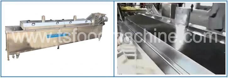 Blancher and Blanching Machine for Potato Chips Production Line