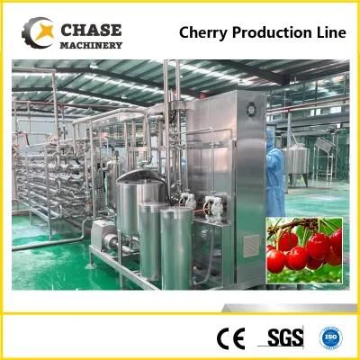 SUS 304 Cherry Sorting Machine/Cherry Jam Processing Line