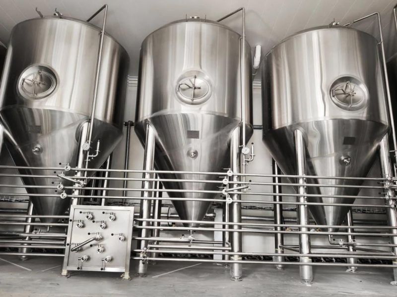 Custom SUS 304 500L 1000L Beer Fermenter for Brewing Equipment