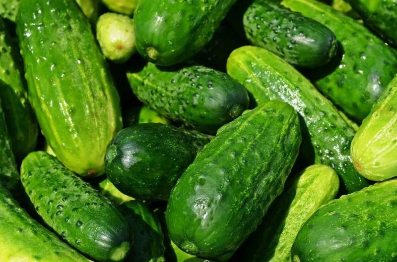 Automatic Brush Wash Machinery Commercial Vegetable Cucumber Washing Machine