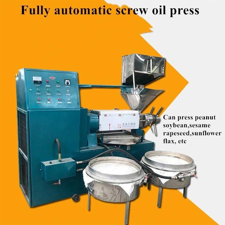 High Quality Screw Press Oil Equipment Canola Oil Press Machine Automatic Professional Peanut Soybean Sesame Oil Extractor