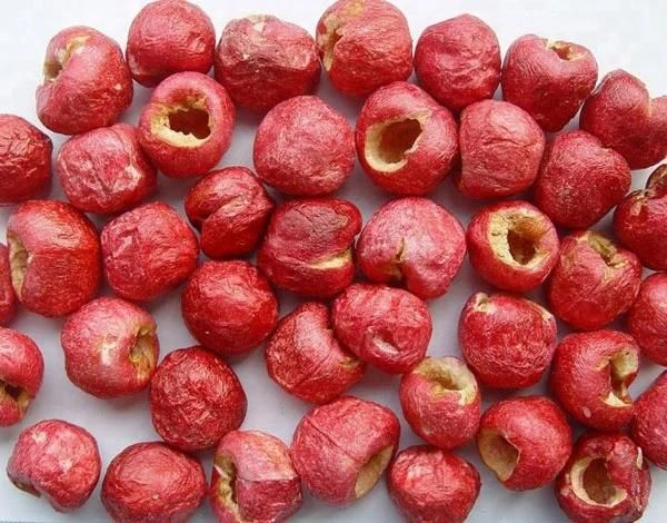 Fruits Dehydrator Drying Machinery Fruit Drier Machine Dehydrator